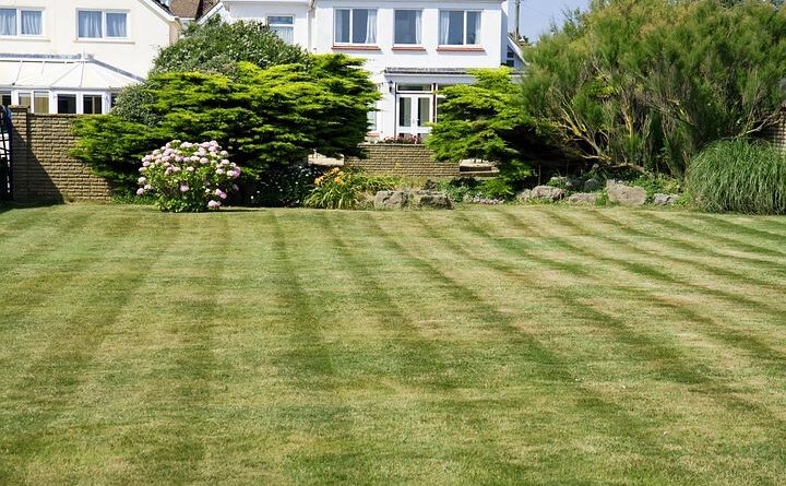 Lawn Care Tips for a Thriving Landscape in Alexandria, VA